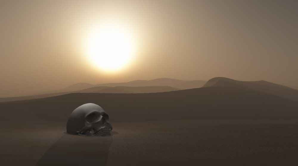 Eine Wüste mit Schädel in Das Feuer von Asshurbanipal