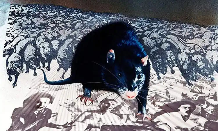 Die Ratte Ben