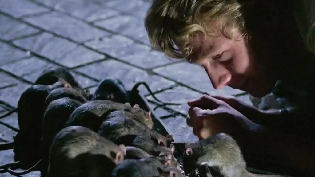 Ein junger Mann mit Ratten