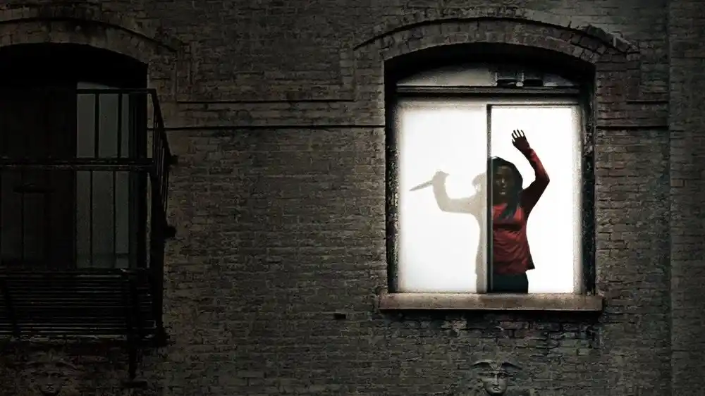 Eine Frau am Fenster von Havenhurst