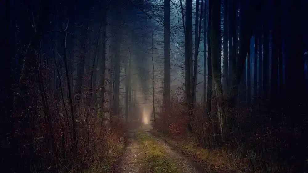 Ein gruseliger Wald