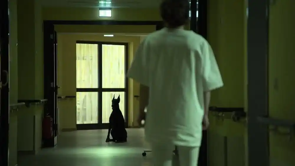 Ein gruseliges Krankenhaus