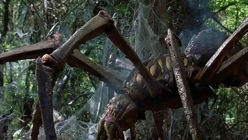 Eine weitere Riesenspinne