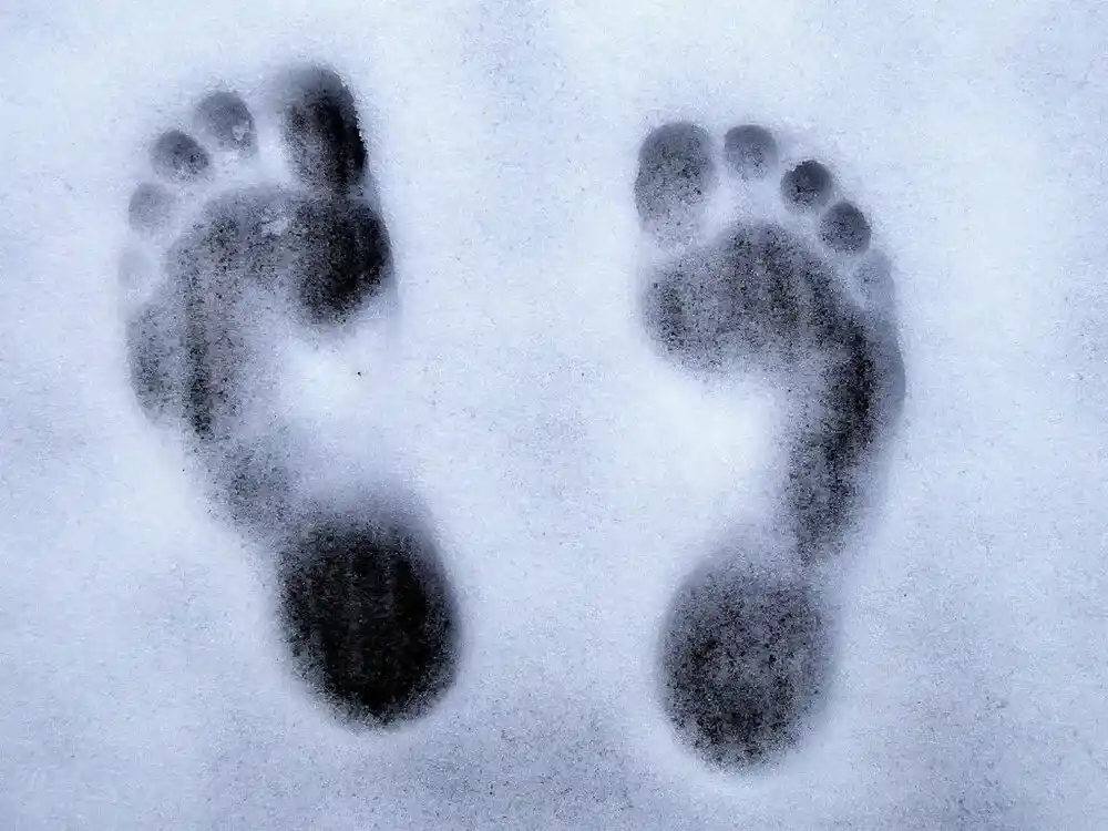 Fußspuren im Schnee