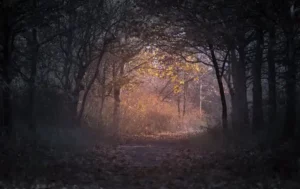 Waldweg in Der Fall Caroline