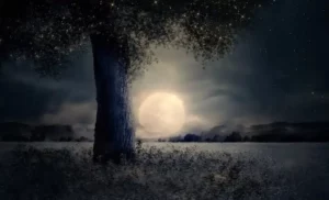 Das Hörspiel Der Eschenbaum