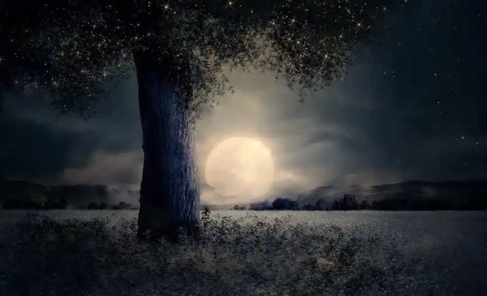 Das Hörspiel Der Eschenbaum