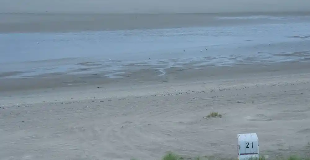 Die Nordsee als Mitternachtsweg