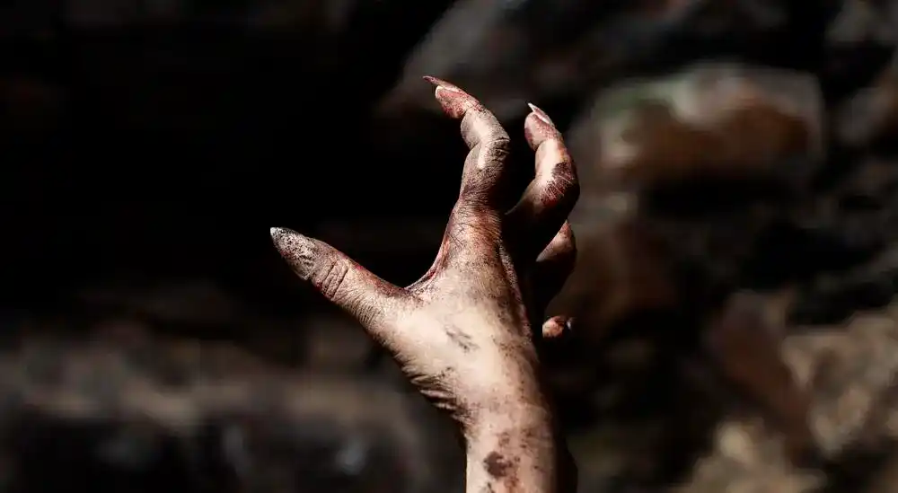 Das Maisfeld: Gruselige Geschichte komplett (4 Kapitel) Eine Hand