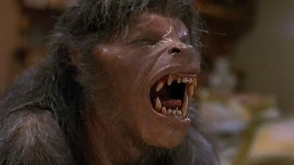 David als Werwolf