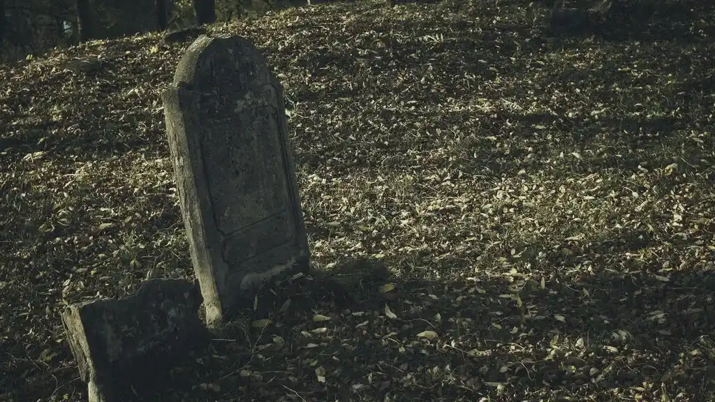 Das Anwesen der Familie Fontaine: Horror - Story (7 Kapitel) Alte Gräber