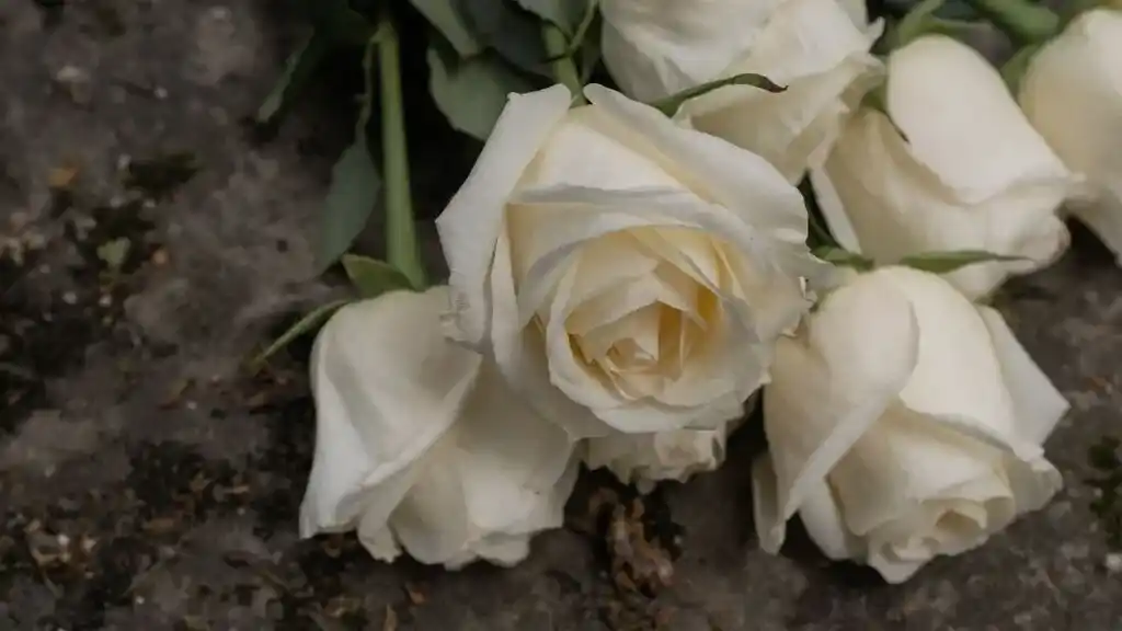 Das Anwesen der Familie Fontaine: Horror - Story (7 Kapitel) Weiße Rosen