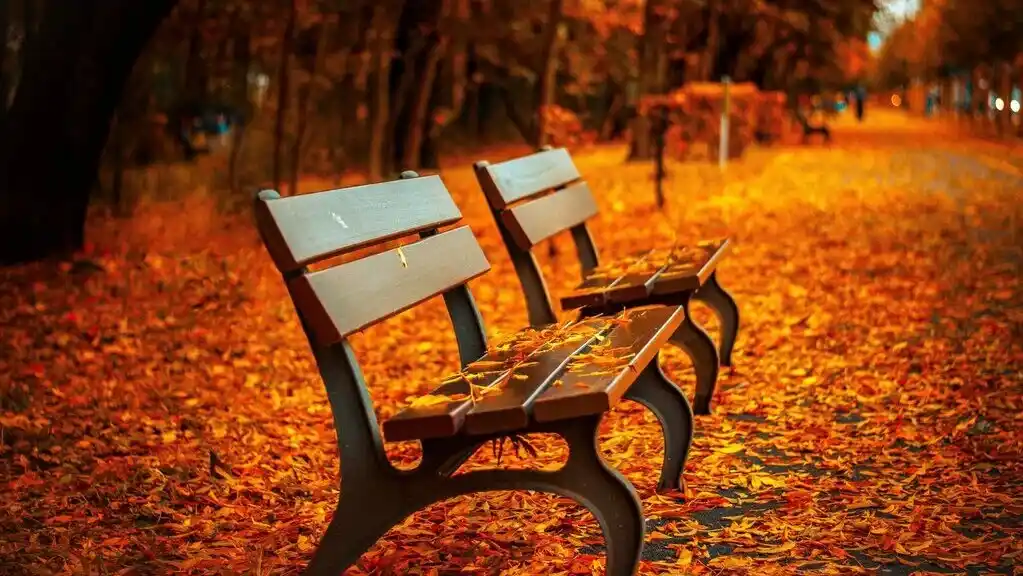 Ein Park mit Bänken